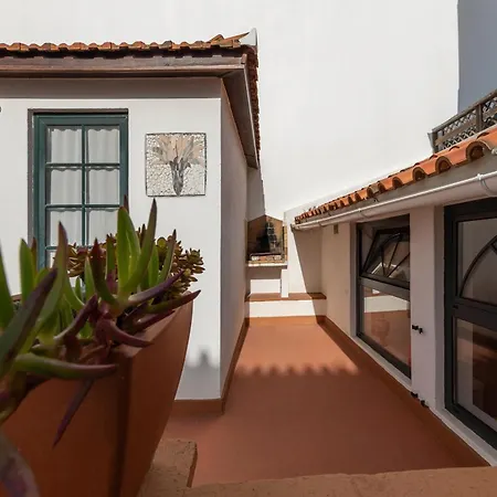 Le Grand Bleu Apartment Nazare